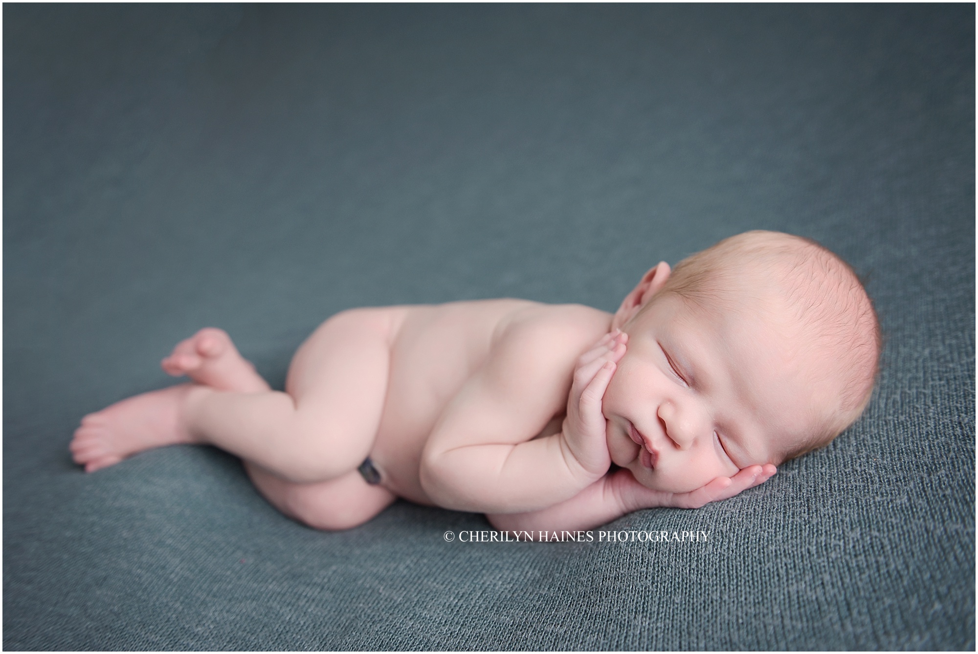cherilyn-haines-photography-01