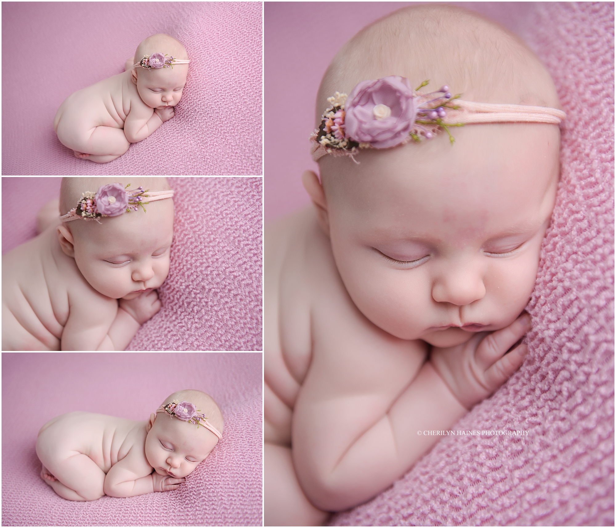 cherilyn-haines-photography-01