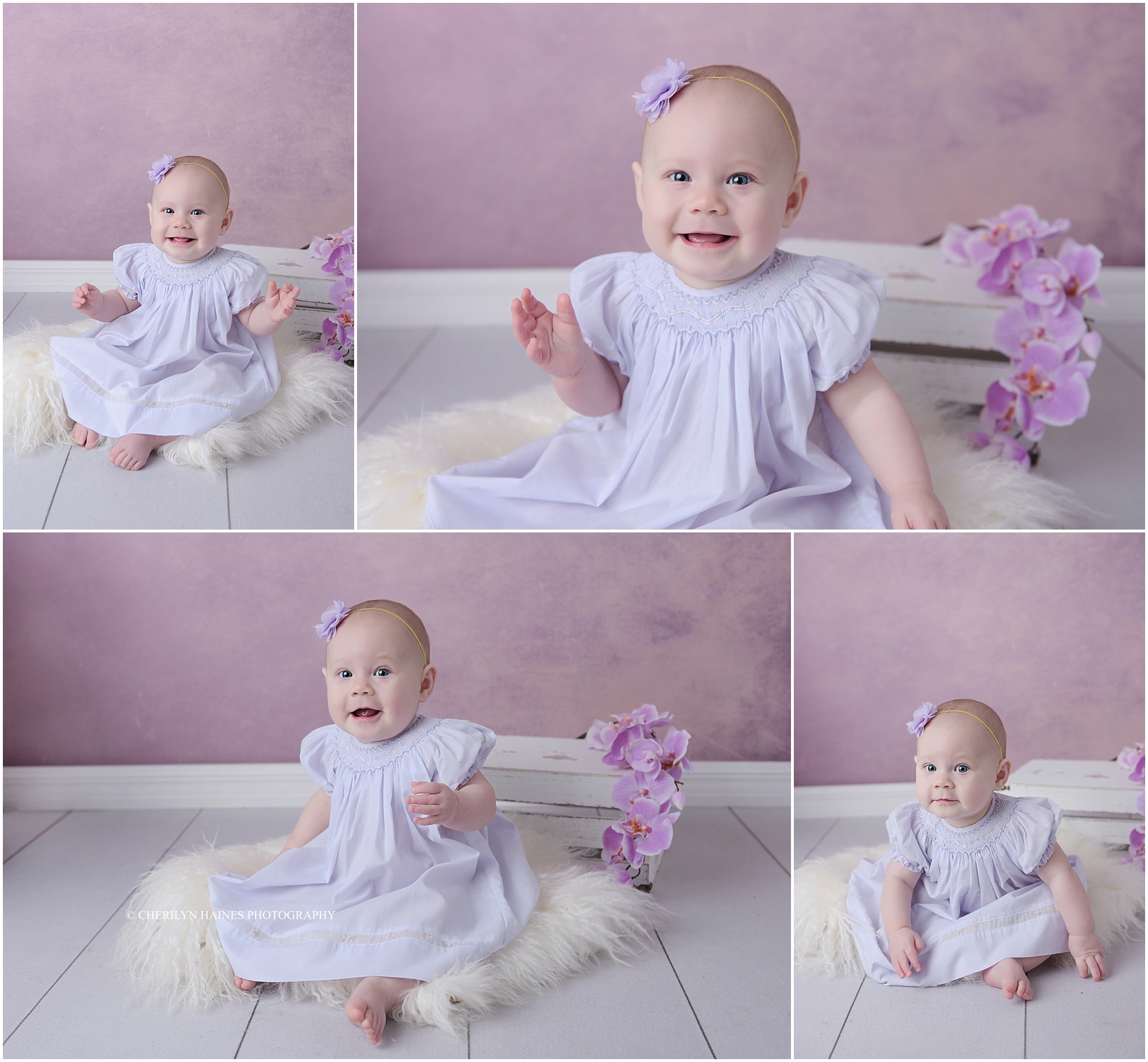 cherilyn-haines-photography-01