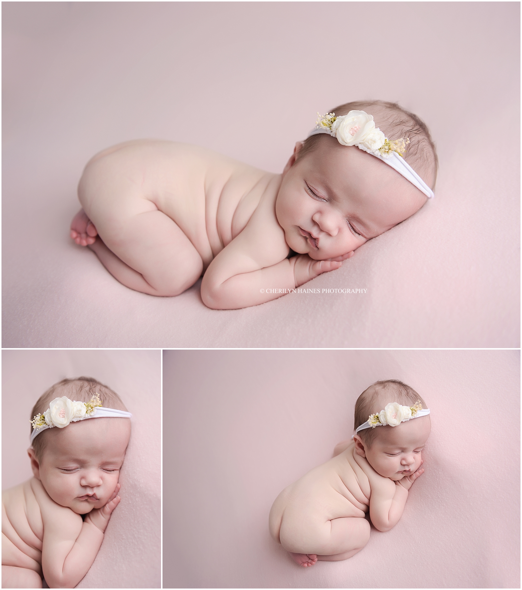 cherilyn-haines-photography-01