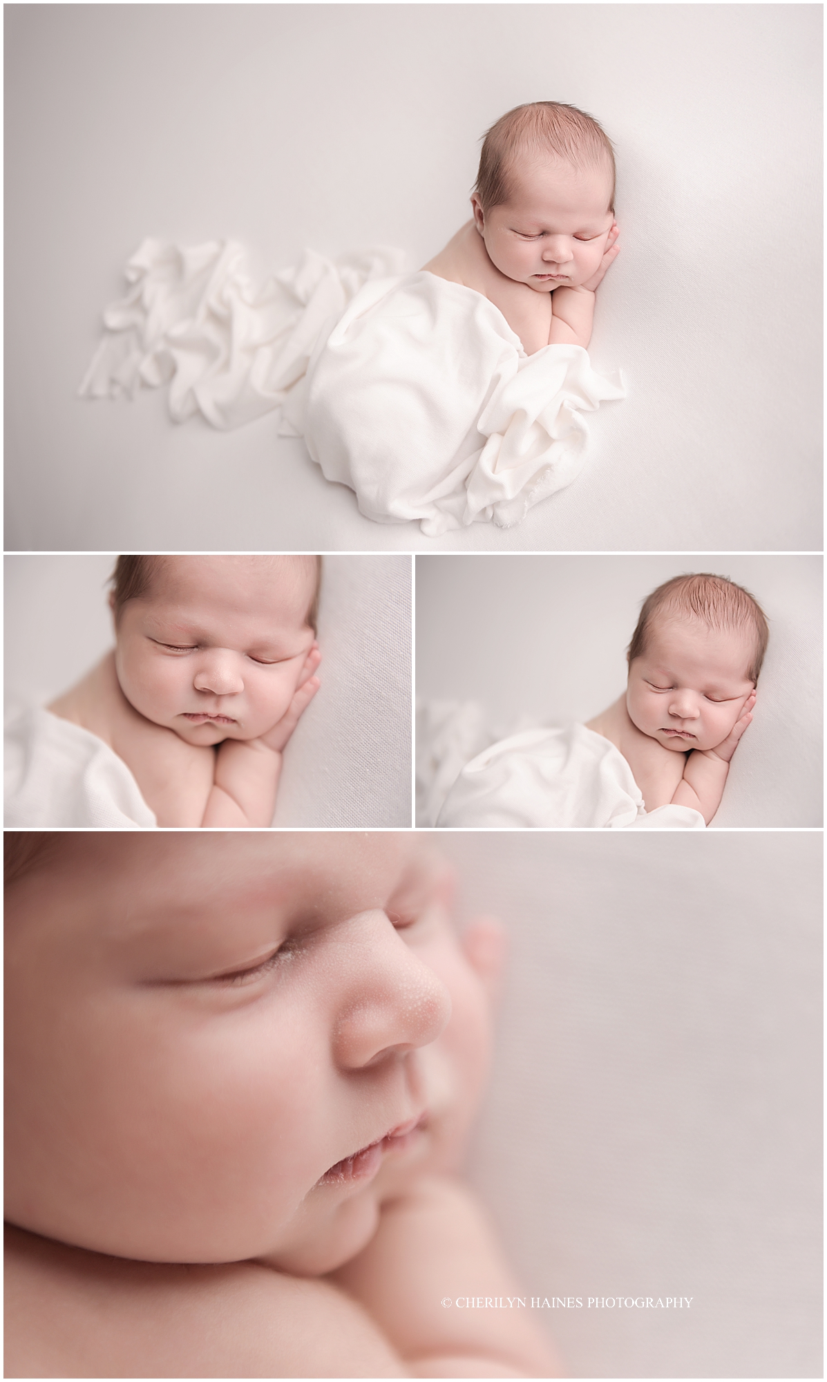 cherilyn-haines-photography-04