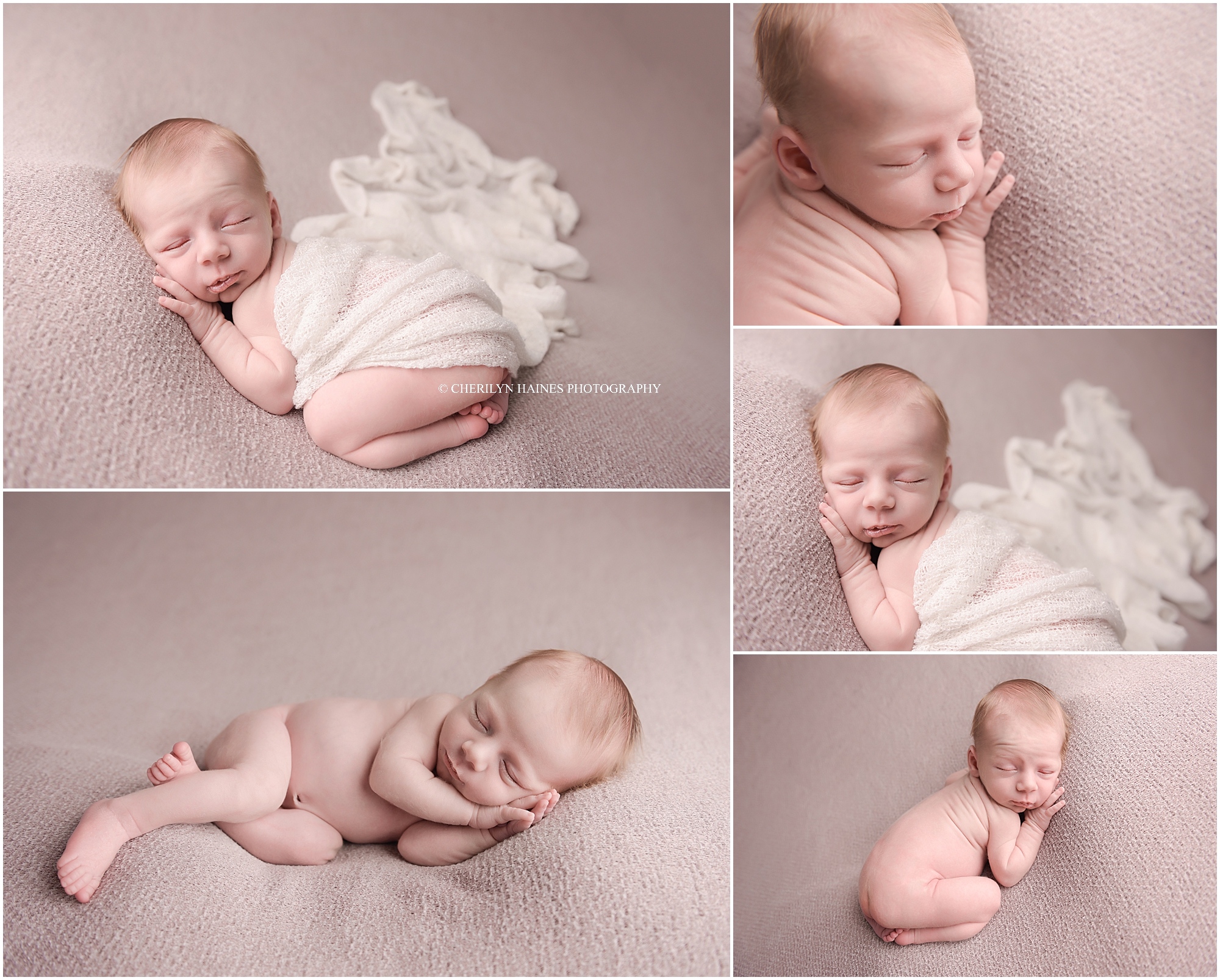 cherilyn-haines-photography-04