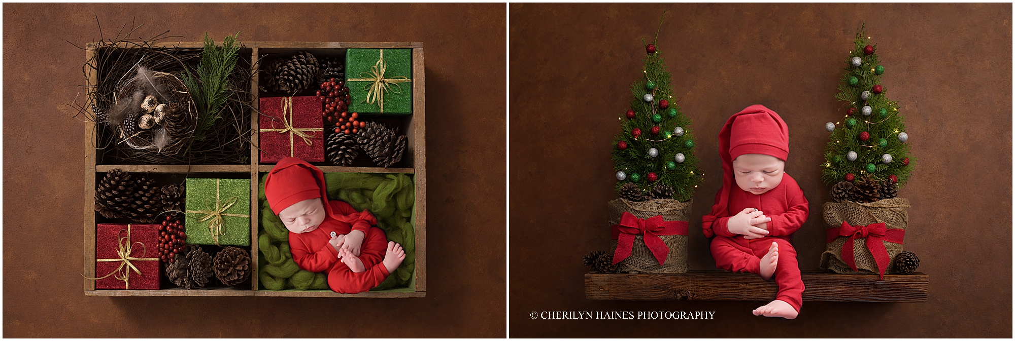 christmas-themed-newborn-portraits-01