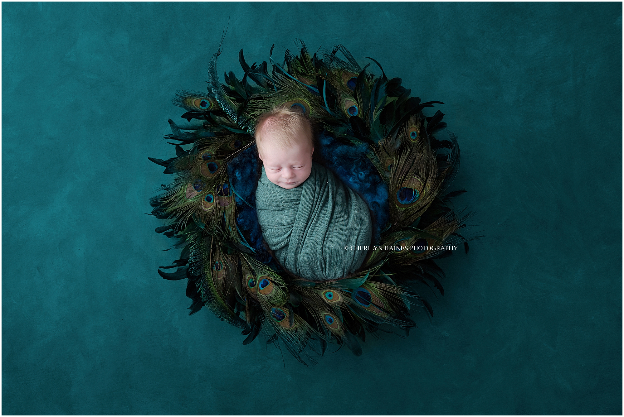 peacock-themed-newborn-portraits-01