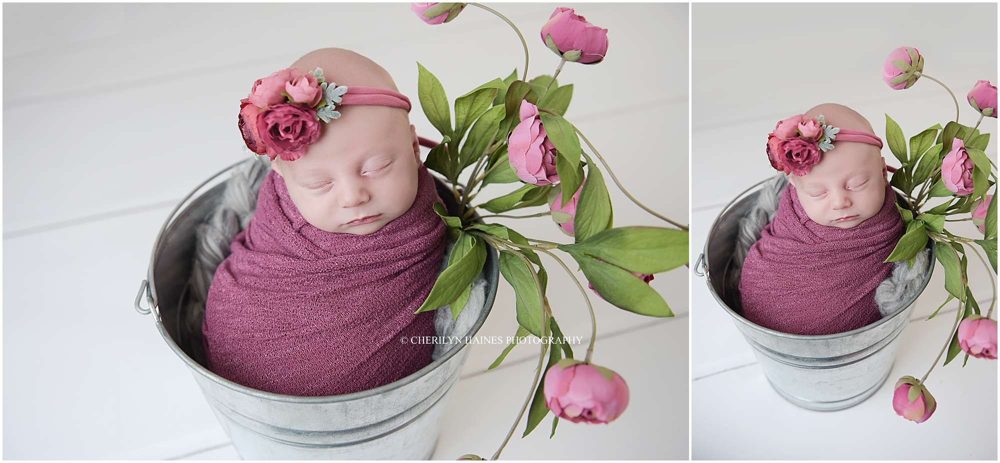 cherilyn-haines-photography-03