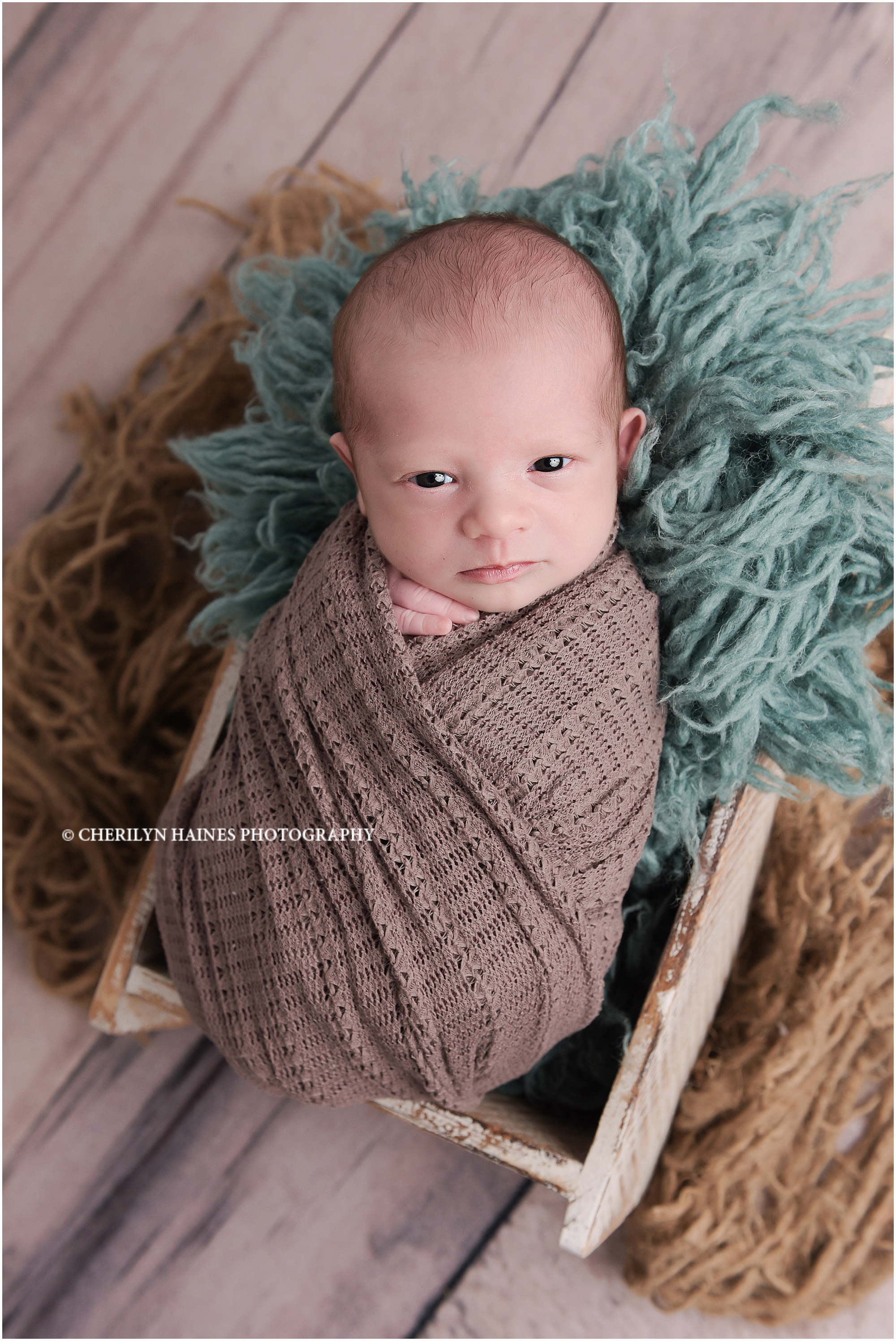 cherilyn-haines-photography-01