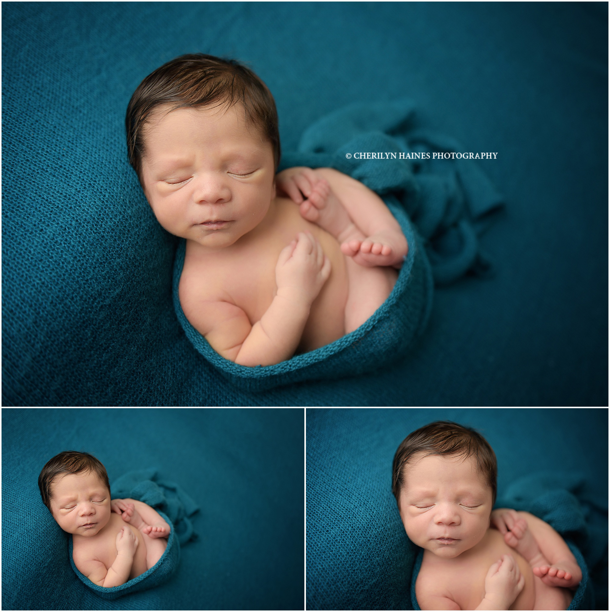 cherilyn-haines-photography-01