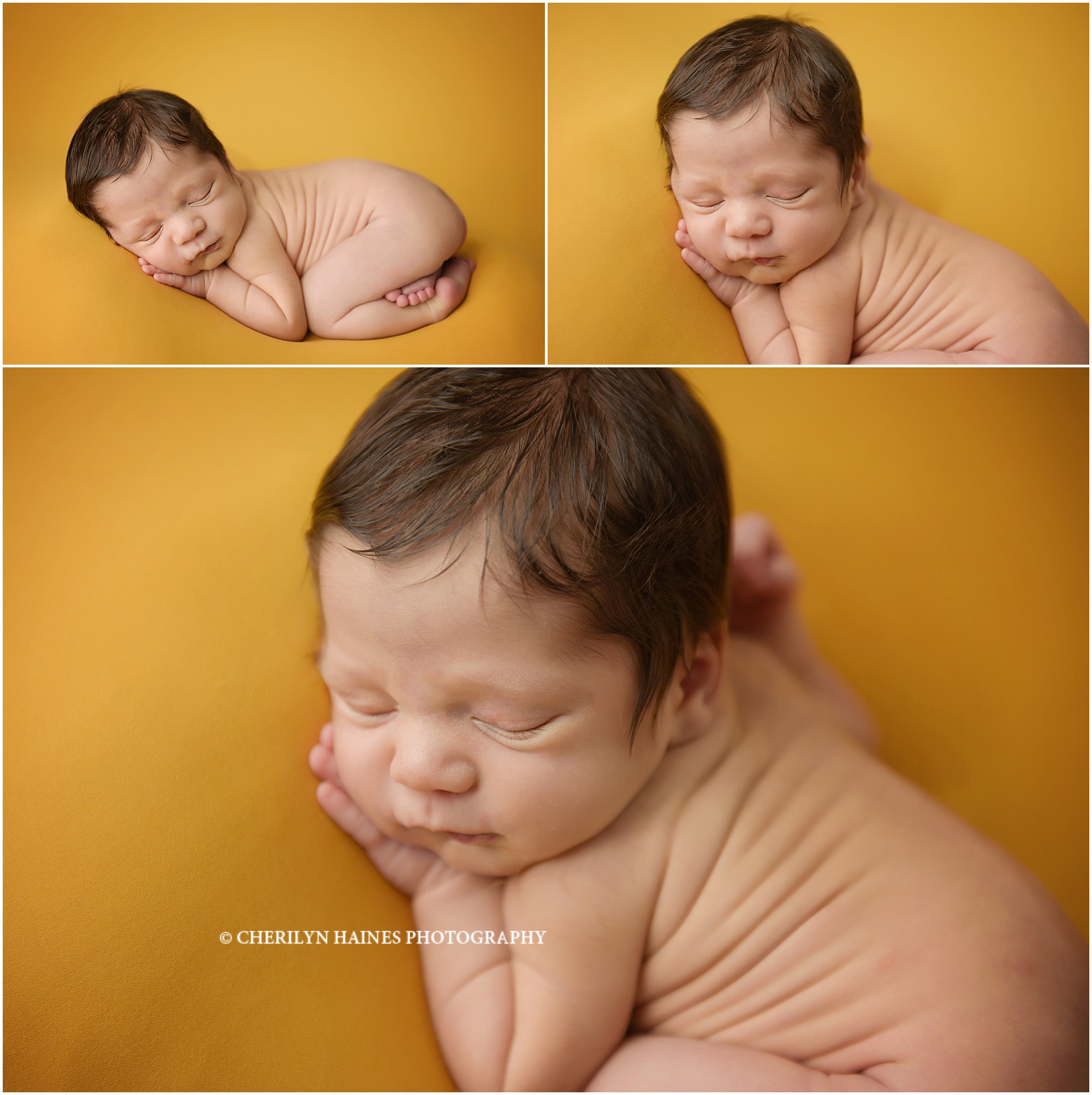 newborn-portraits-01