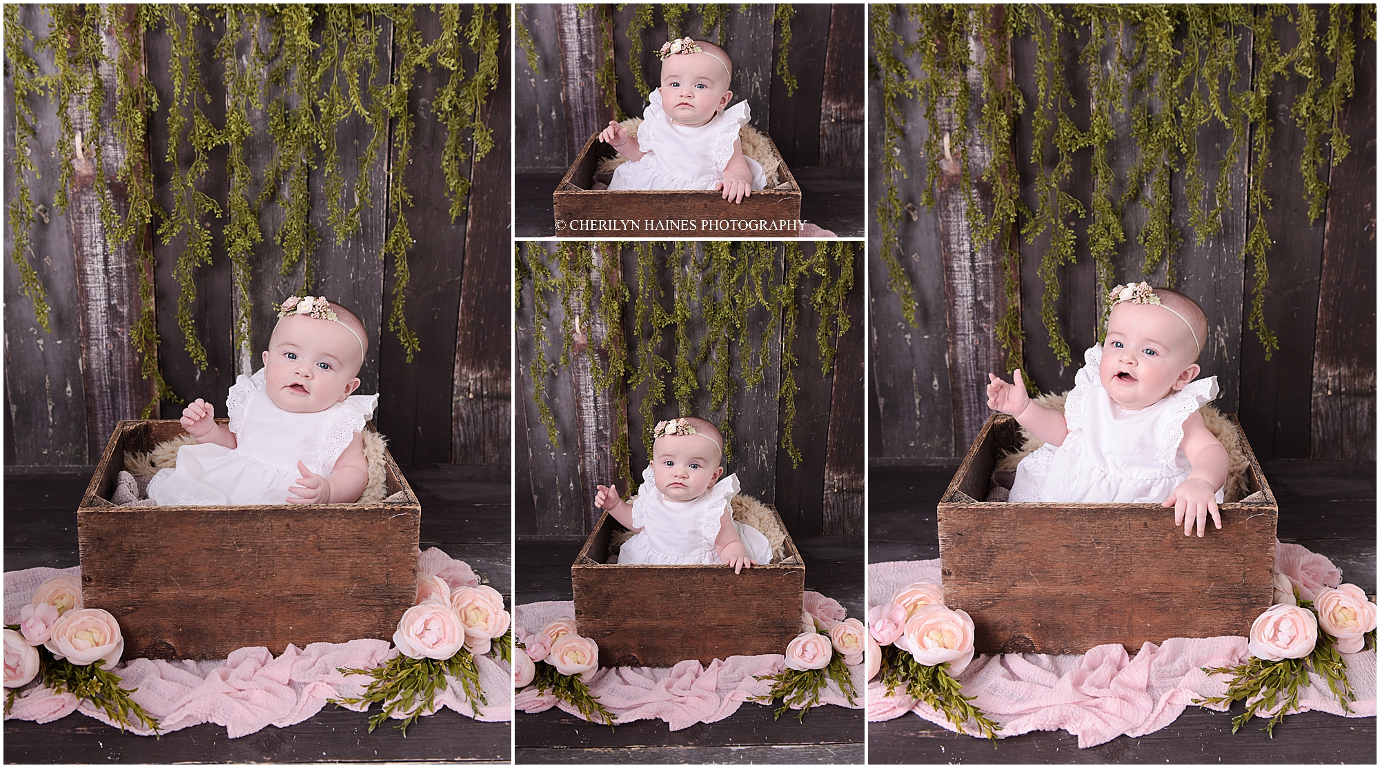 cherilyn-haines-photography-01