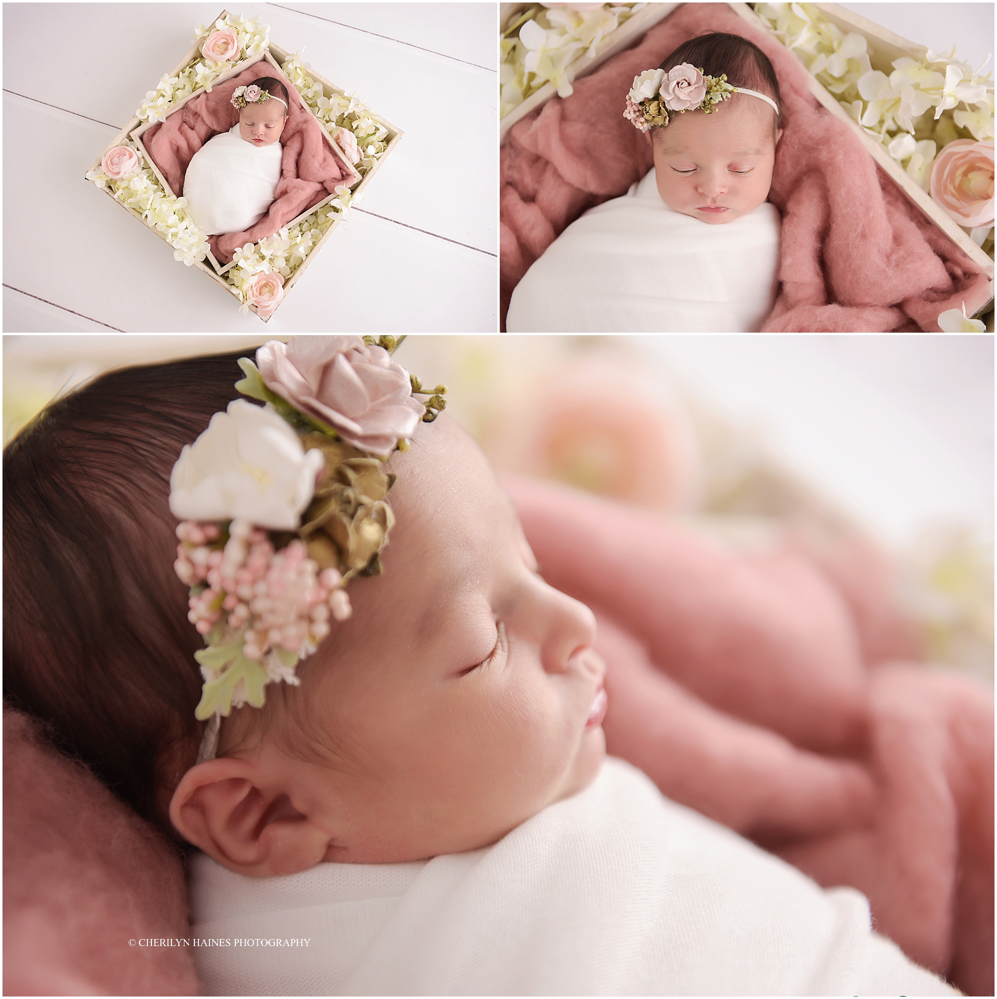 cherilyn-haines-photography-01