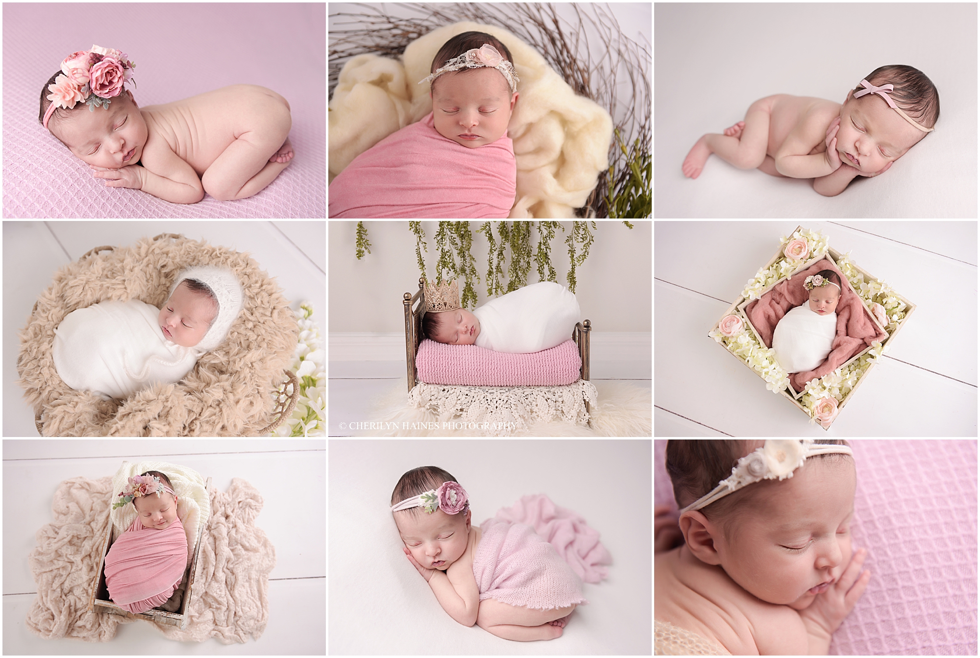 cherilyn-haines-photography-01