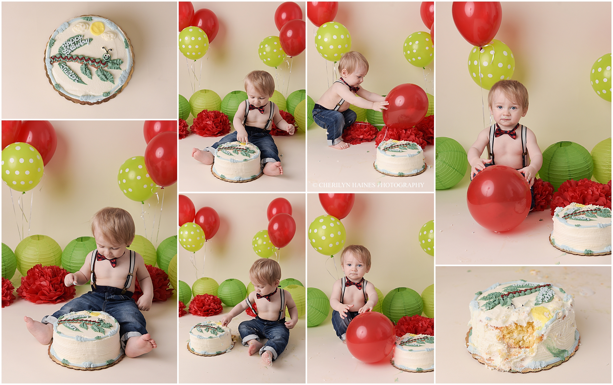 hungry-hungry-caterpillar-cake-smash-01