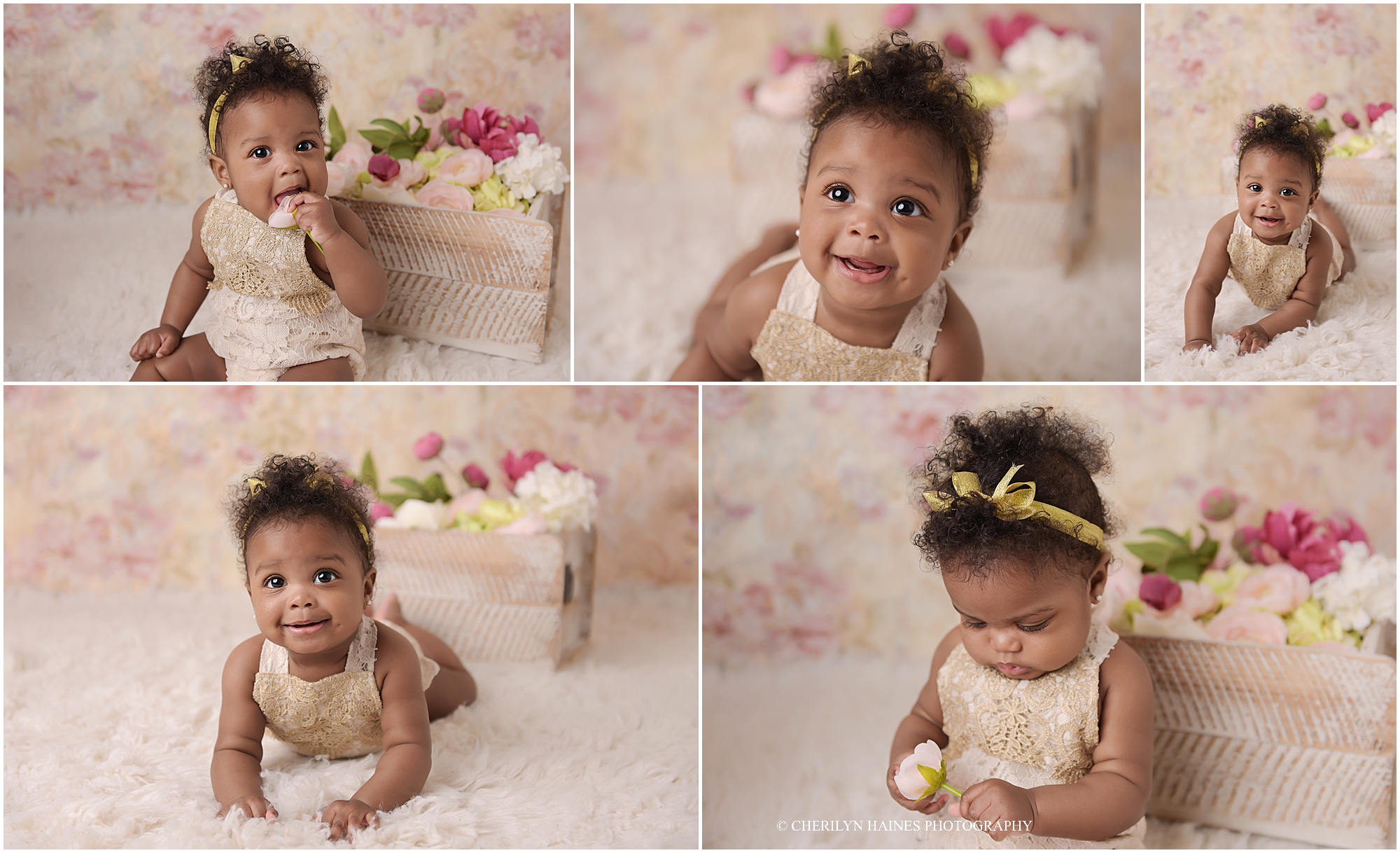 cherilyn-haines-photography-01