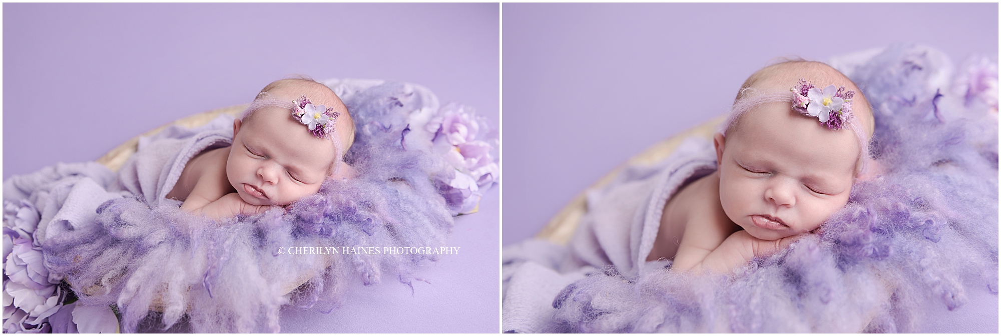 newborn-photography-01