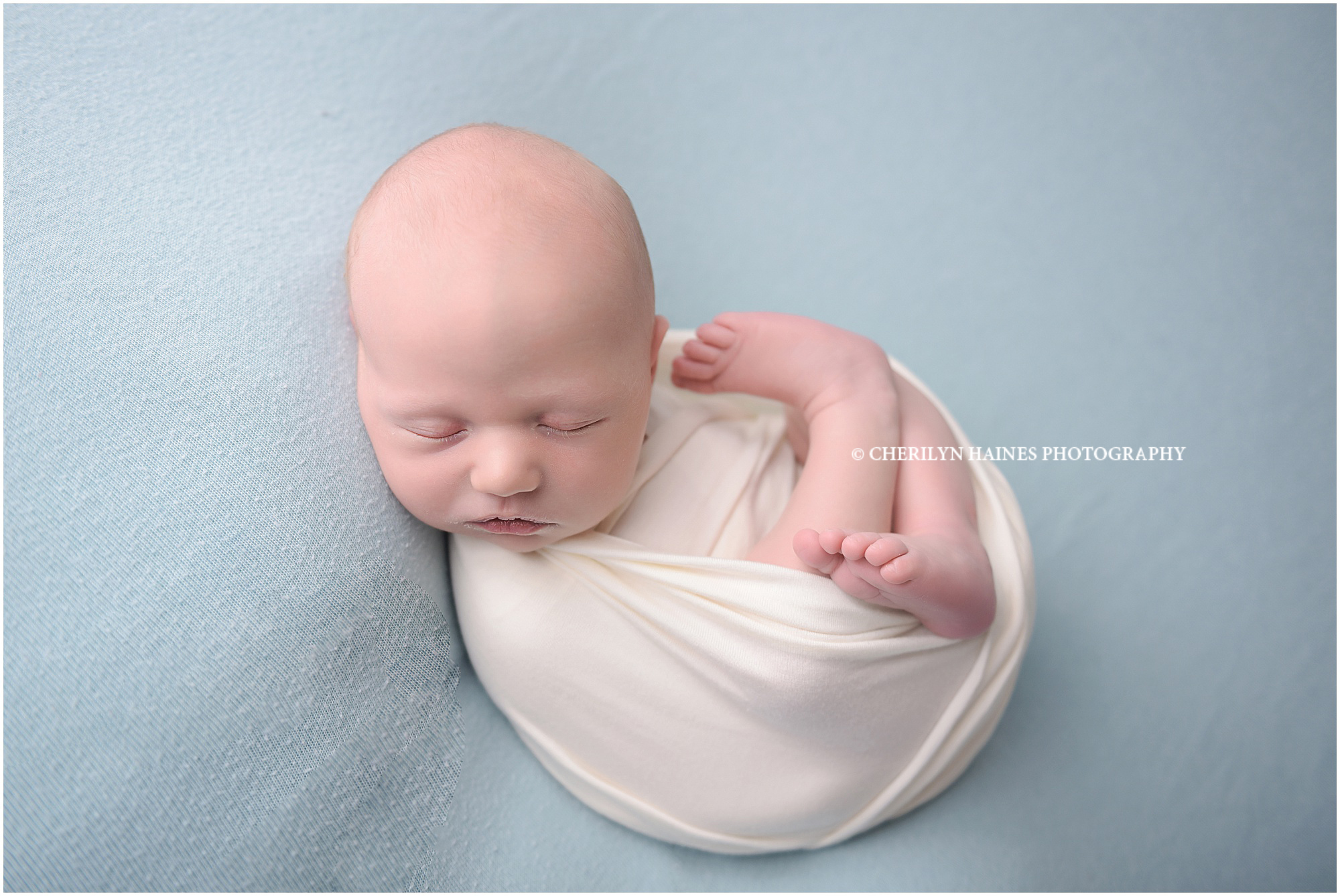 cherilyn-haines-photography-01