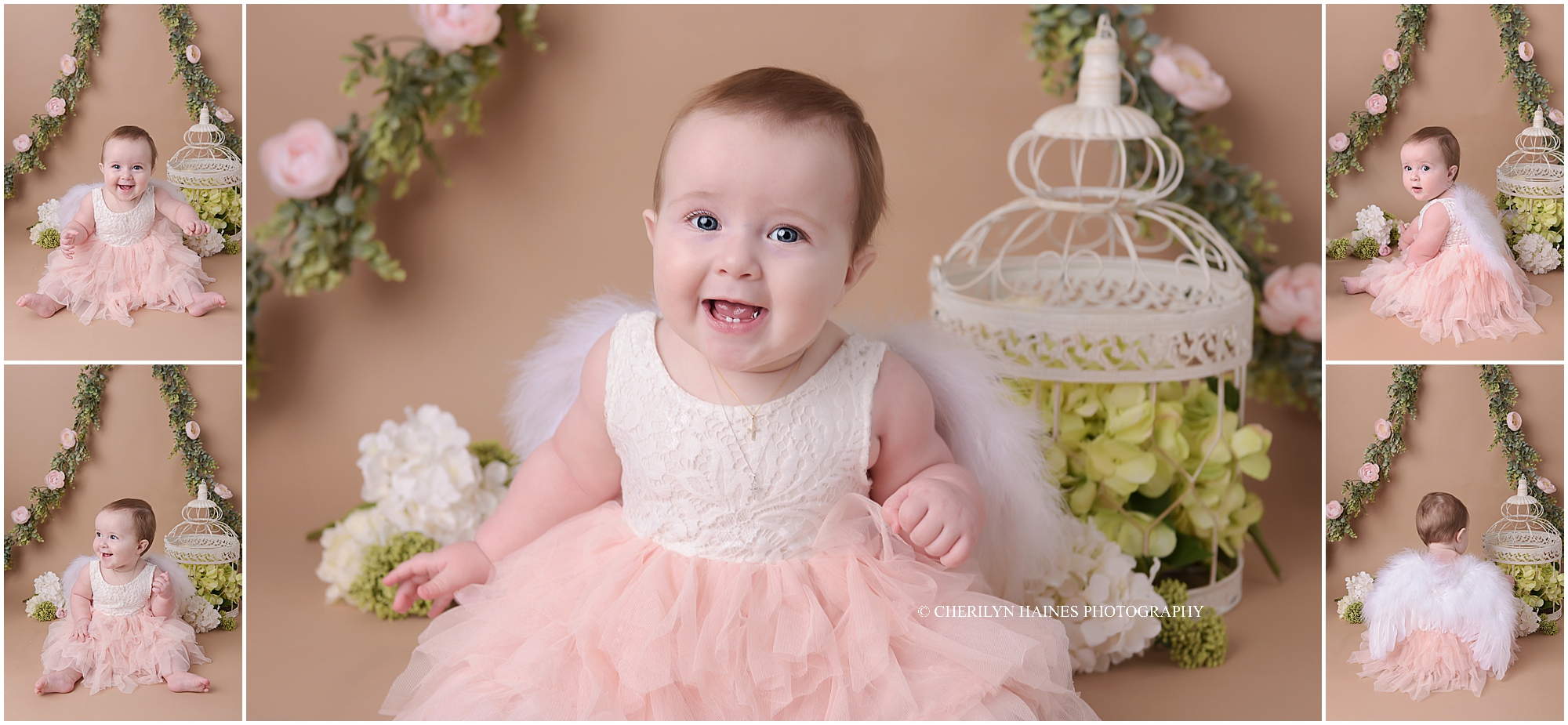 6-month-session-in-new-orleans-01