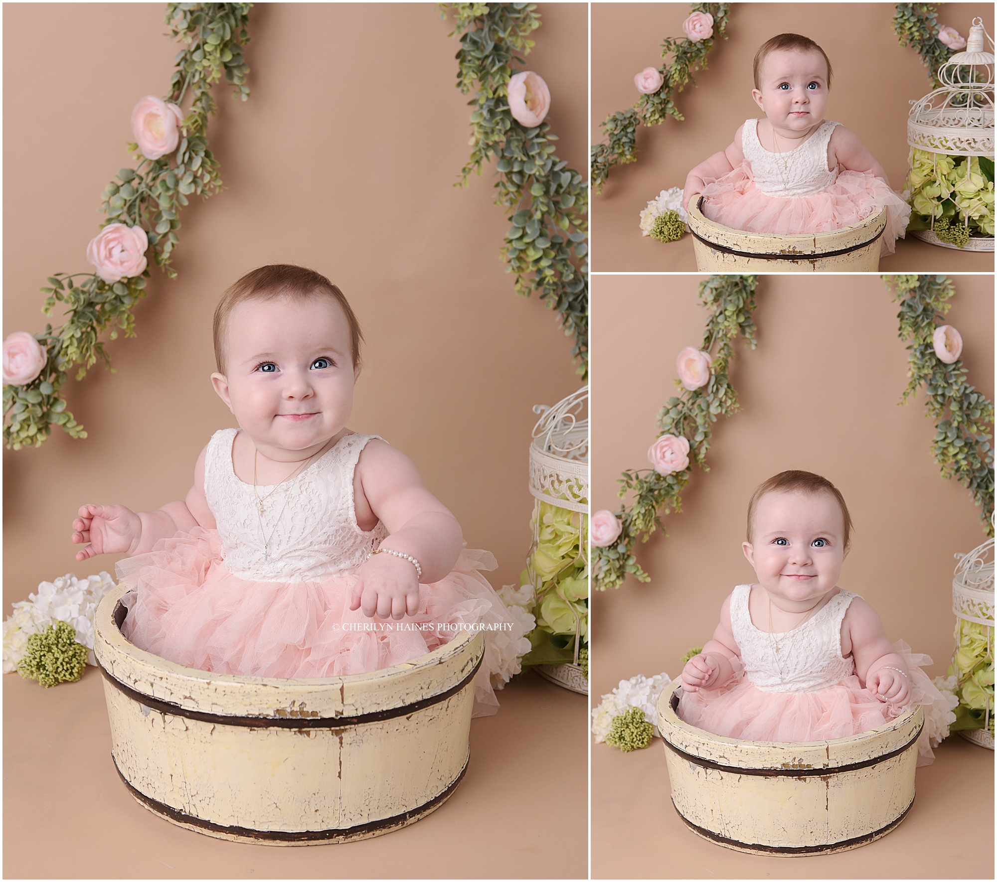 6-month-session-in-baton-rouge-01