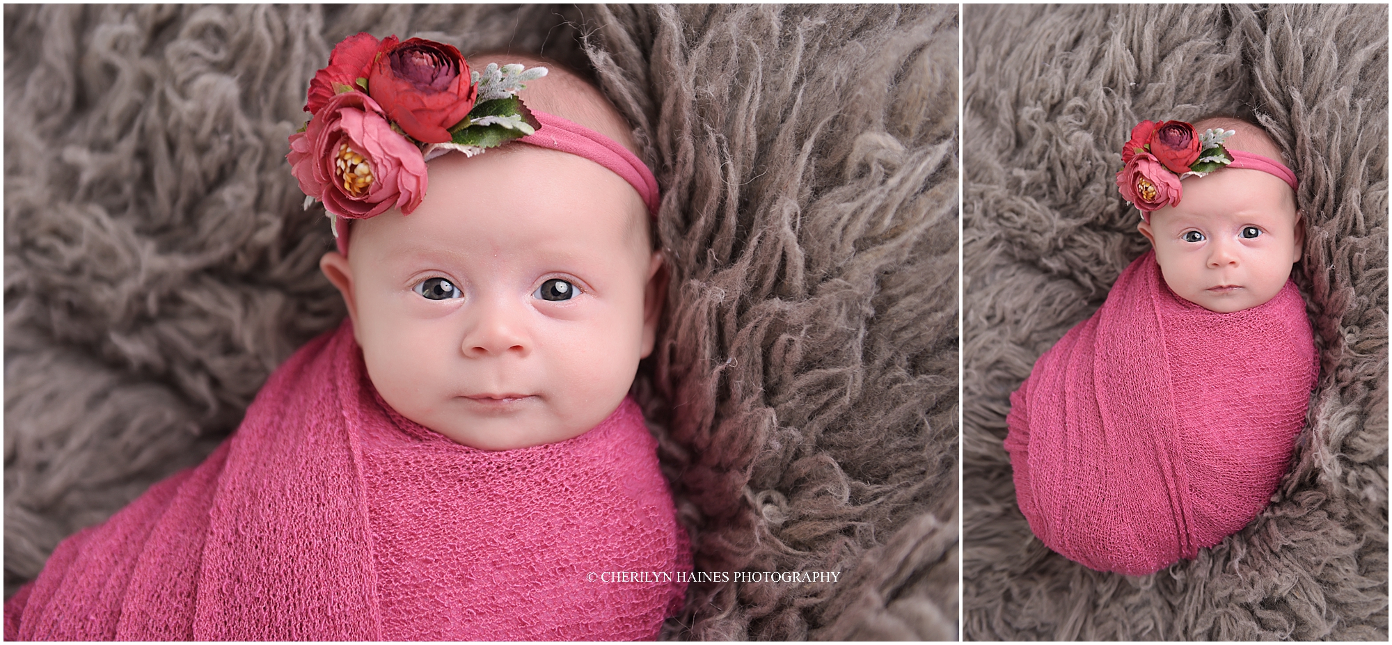 cherilyn-haines-photography-05