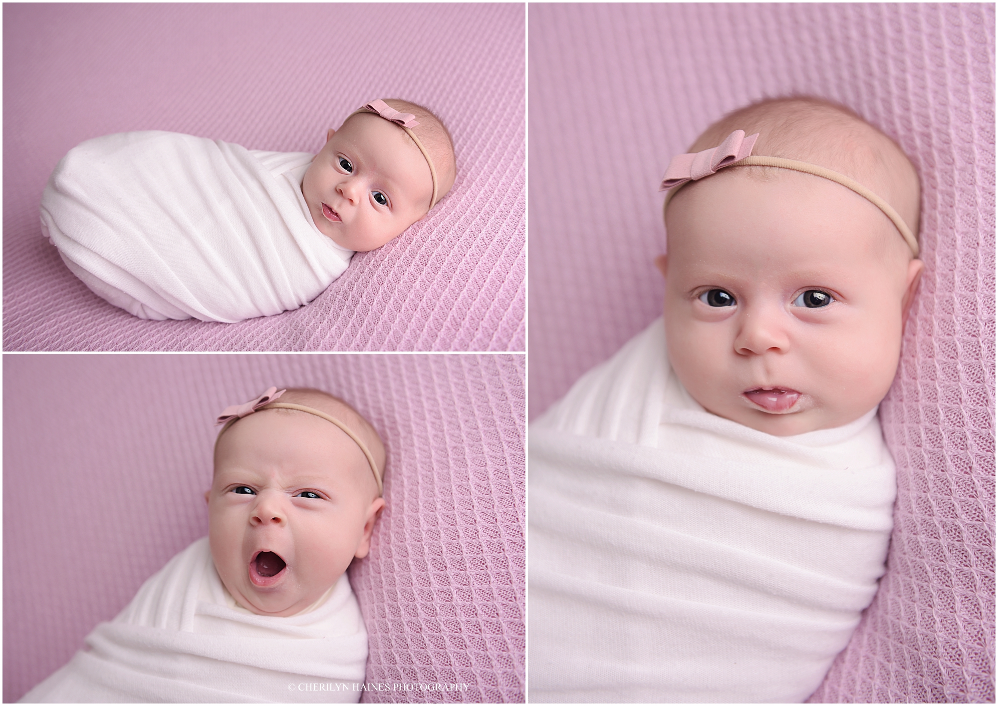 cherilyn-haines-photography-01