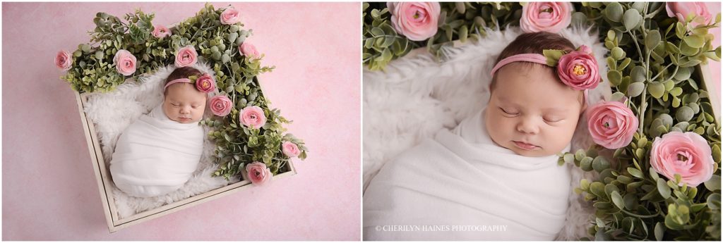 best newborn photographers in new orleans