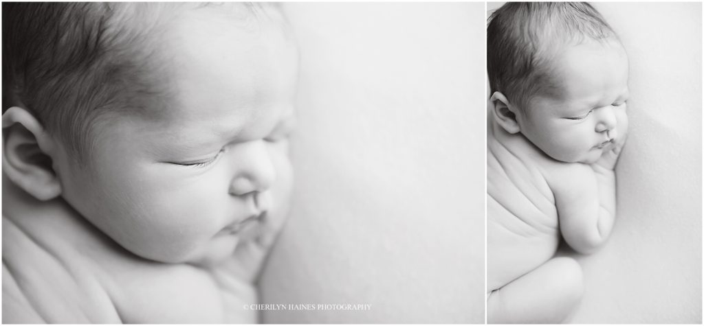 black and white newborn portrait photographers