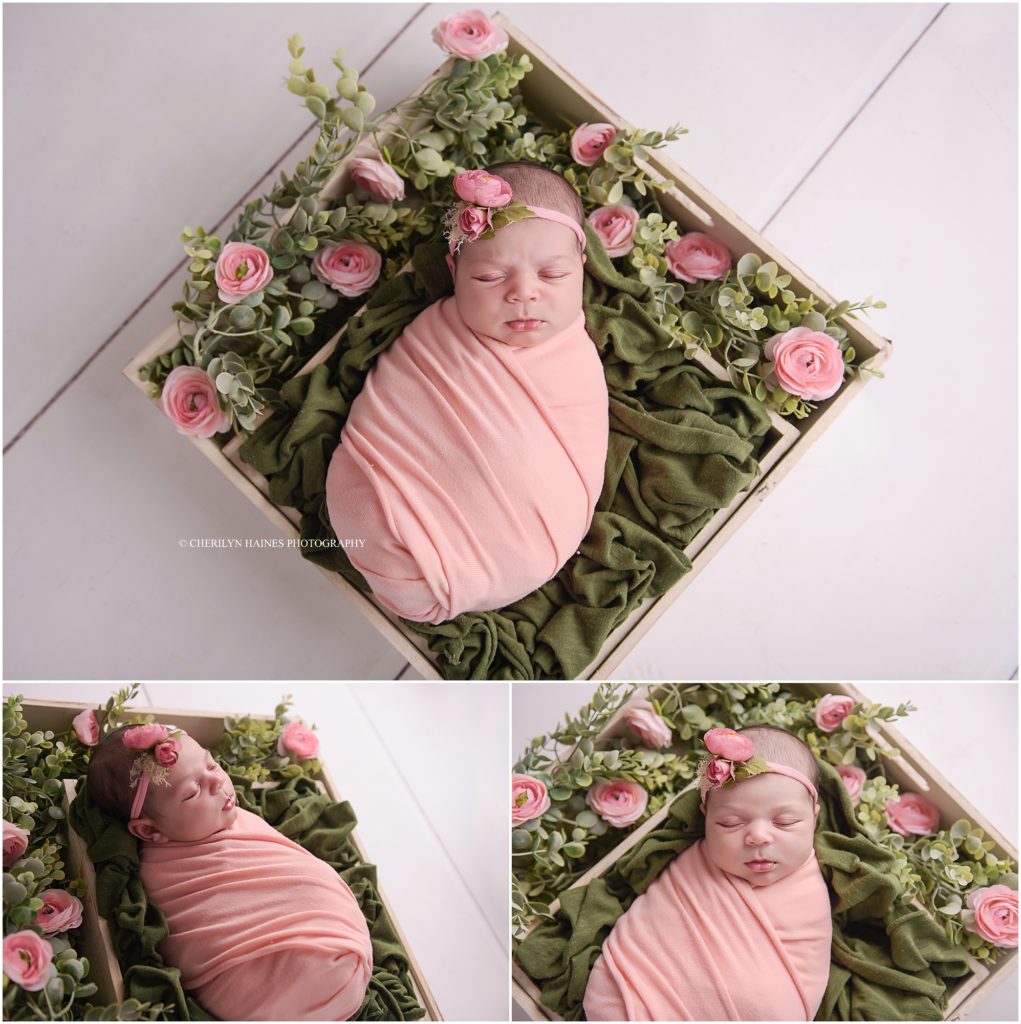 new orleans newborn photographer