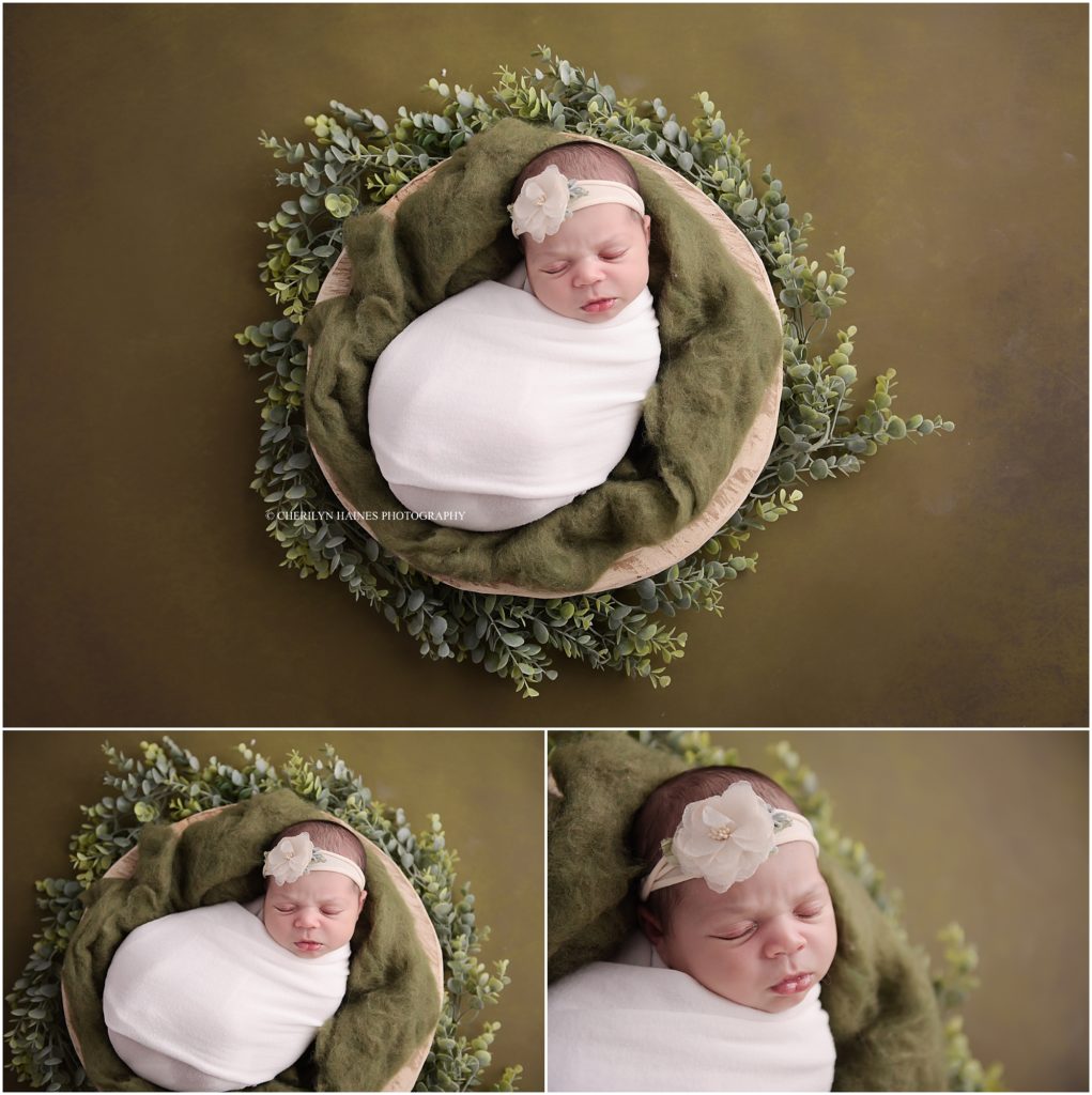 cherilyn haines photography