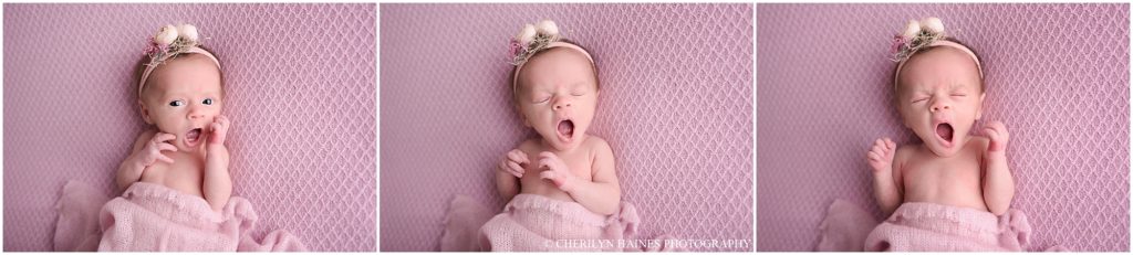 cherilyn haines photography
