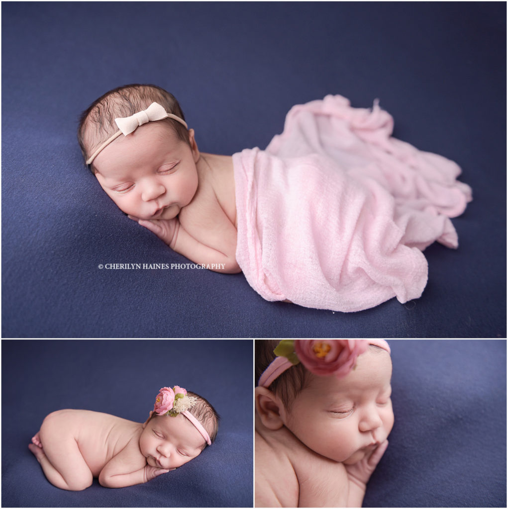 navy and pink themed newborn portrait session