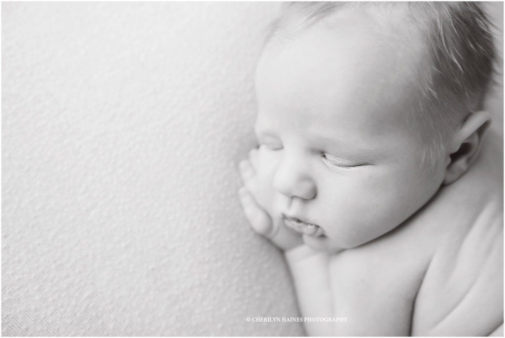 black and white portrait of 8 day old newborn baby boy