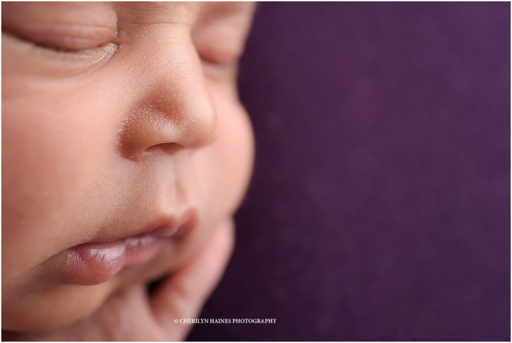 macro close up shot of newborn baby girl laying on dark purple backdrop