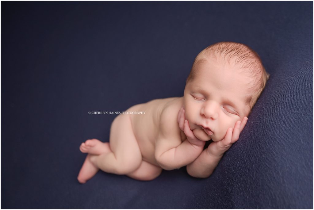 newborn baby portraits laying on navy blanket